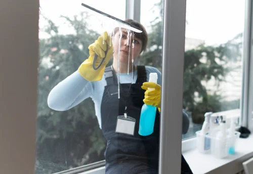 Nettoyage de vitres intérieures et extérieures à Gaillard